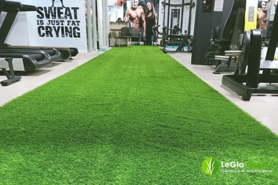 cỏ nhân tạo phòng Gym